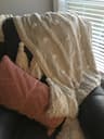 1736039472437_original.jpg